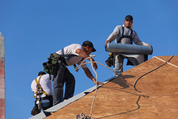Best Storm Damage Roof Repair  in Sturgeon, MO