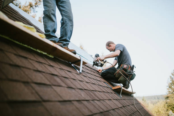 Quick and Trustworthy Emergency Roof Repair Services in Sturgeon, MO